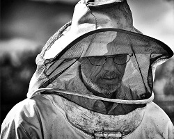 Jim Rice: Late season beekeeping preparing for year's end